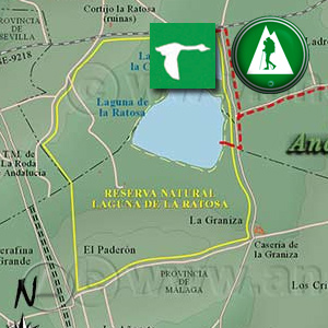Ruta de Senderismo y ornitológica de Alameda a la Laguna de la Ratosa y de la Castañuela : Recorte Mapa Cartográfico