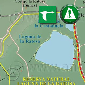 Ruta de Senderismo y ornitológica de Los Carvajales a la Laguna de la Ratosa y de la Castañuela : Recorte Mapa Cartográfico