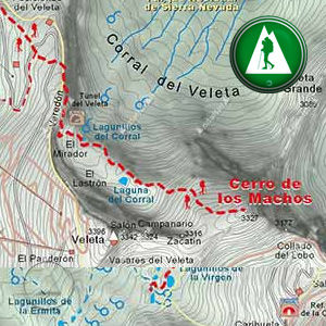 Ruta de Senderismo de Hoya de la Mora al Cerro de los Machos por el Veredón: Recorte Mapa Cartográfico