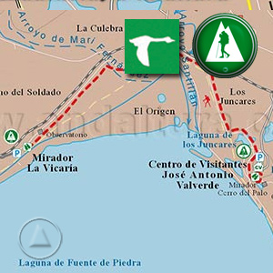 Ruta de Senderismo por el Sendero de las Albinas en Fuente de Piedra: Recorte Mapa Cartográfico