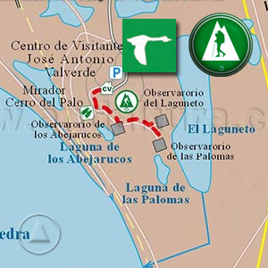 Ruta de Senderismo por el Sendero del Laguneto en Fuente de Piedra: Recorte Mapa Cartográfico