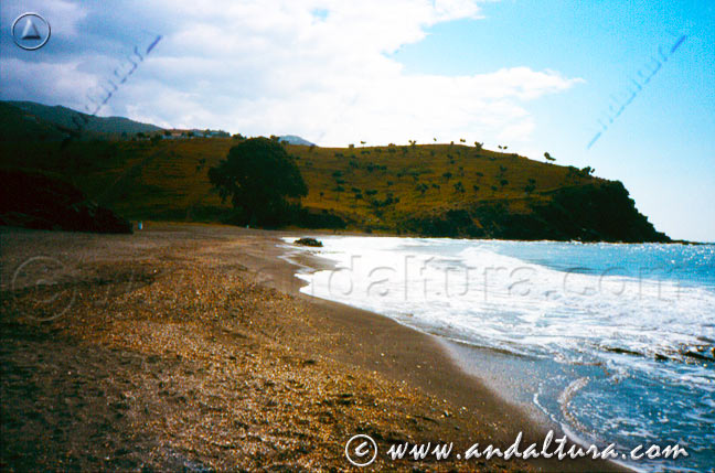 Panorámica antigua de la Playa Calabajío - Almuñécar - Costa Tropical