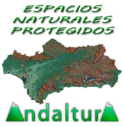 Banner vinculo a los Espacios Naturales Protegidos de Andalucía de Andaltura