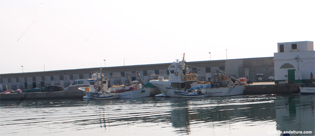 Barcos pesqueros en el Puerto de Roquetas de Mar