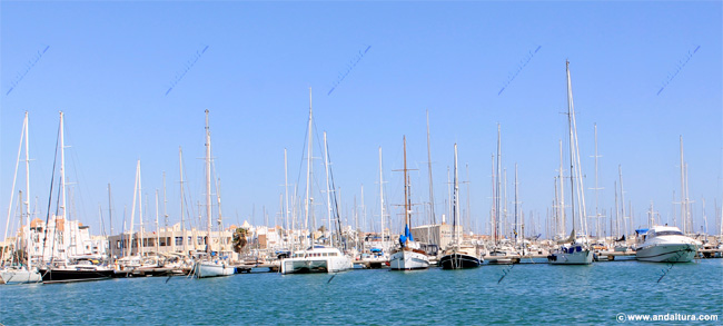 Barcos en el Puerto Deportivo de Almerimar