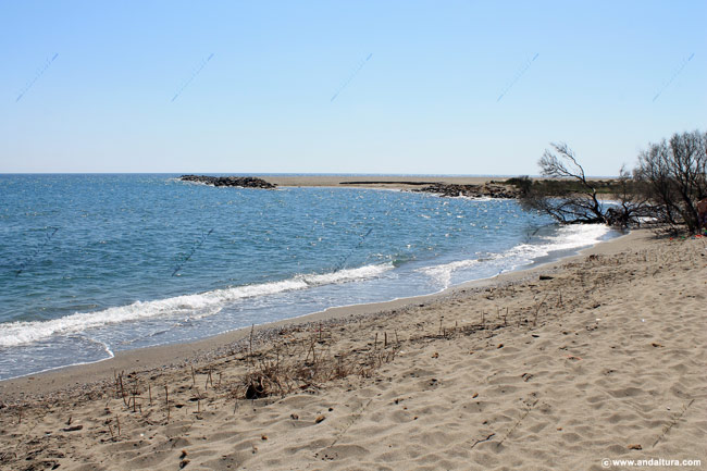 Escollera artificial en la Playa del Sabinar - Guía de Playas de El Ejido