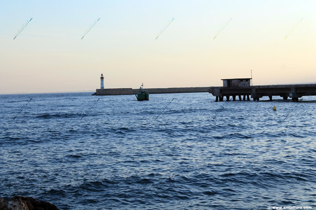 Cable Francés y Faro del Dique de poniente de la bocana de entrada al Puerto de Almería