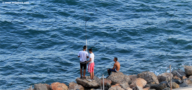 Pescando junto al Puerto Deportivo de Aguadulce