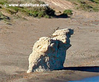 Piedra en la playa del Peñón Blanco - Guía Litoral de Níjar