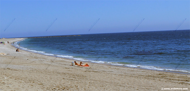 Playa de Levante - Guía Litoral de El Ejido