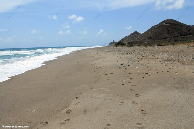 Playa de Macenas o de Bolmayor, al fondo la Torre del Pirulico - Guía de Playas de Mojácar
