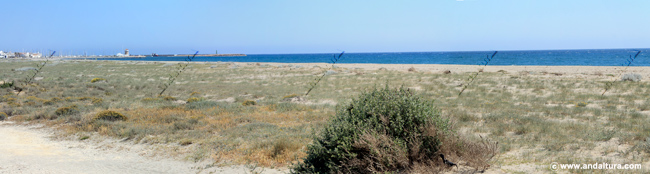 Playa Poniente de Almerimar