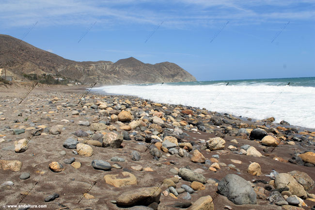 Playa de Algarrobico - Guía de Playas de Carboneras - Parque Natural Cabo de Gata-Níjar en Carboneras