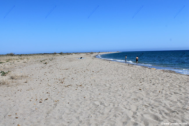 Playa del Sabinar - Guía de Playas de El Ejido