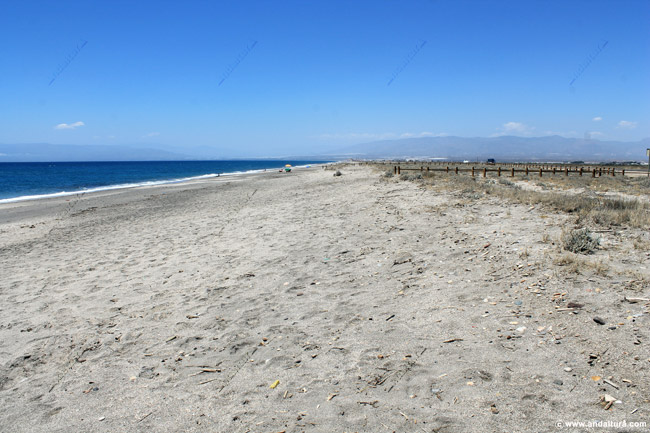 Playa de las Salinas del Cabo de Gata o Playa del Cabo de Gata - Guía de Playas de la capital de Almería y del Parque Natural Cabo de Gata - Níjar