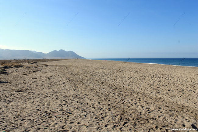 Playa de las Salinas del Cabo de Gata - Guía de Playas del Parque Natural Cabo de Gata - Níjar en la capital de Almería