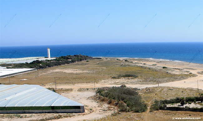 Punta de los Baños, Playa de la Peña del Moro y Faro