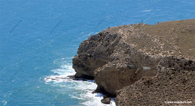 Punta de la Media Naranja - Guía del Litoral de Carboneras - Parque Natural Cabo de Gata - Níjar