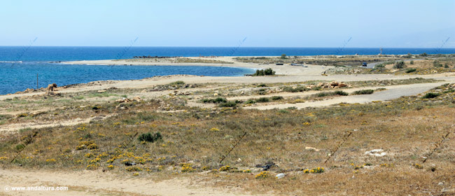 Punta de Piedra del Moro - Guía de Playas de El Ejido