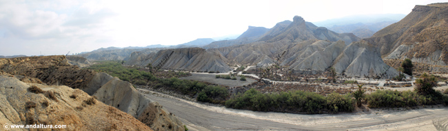 Rambla en el Desierto de Tabernas - Ruta de Senderismo por el Pequeño Recorrido PR A 269 Sendero del Desierto
