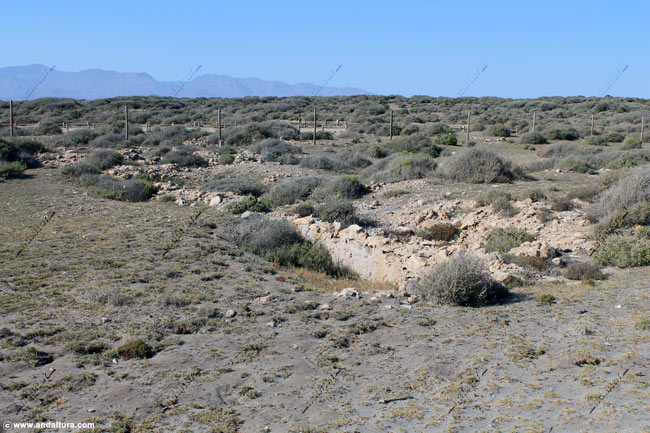 Ruinas romanas de la Factoría de Salazones - Guía Litoral de la capital de Almería y el Parque Natural Cabo de Gata - Níjar