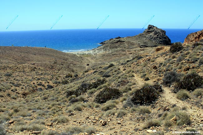Ruta de Senderismo desde Cala Arena a Cala Rajá, al fondo Punta Baja - Guía de Playas de Níjar y el Parque Natural Cabo de Gata - Níjar