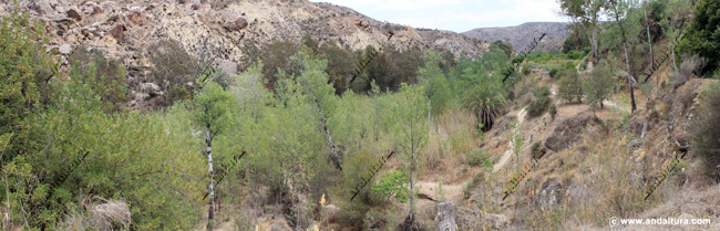Valle del río Aguas - Ríos de Almería