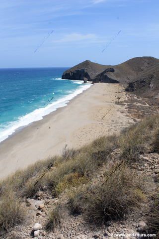 Playa de los Muertos - Guía de Playas de Carboneras y el Parque Natural Cabo de Gata - Níjar