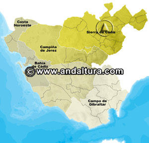 Mapa de las Comarcas de la Provincia de Cádiz: Acceso a los Contenidos
