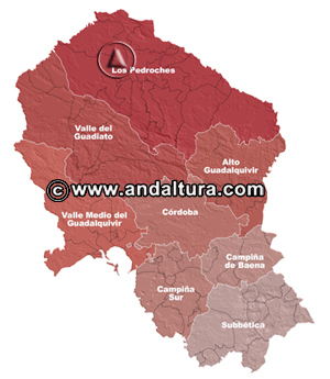 Mapa Comarcas de la Provincia de Córdoba: Acceso a los Contenidos