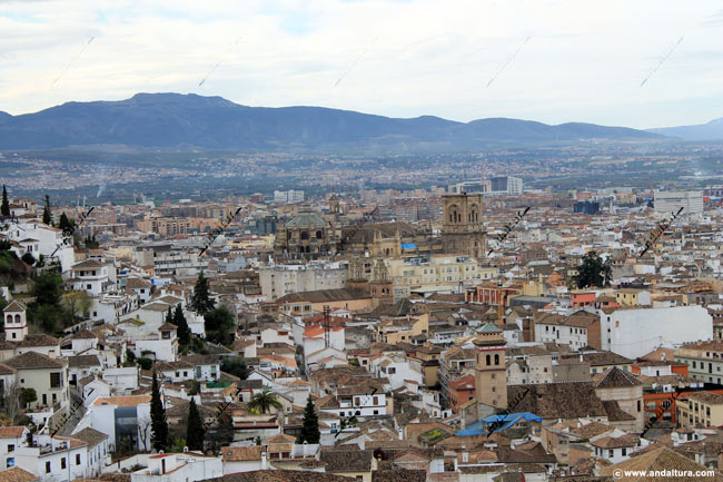 Barrio de Granada, Catedral de Granada y al fondo la Silleta del Padul - Callejero de Granada
