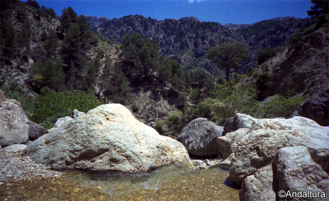 Detalle de la Cerrada de la Magdalena en la Sierra de Castril