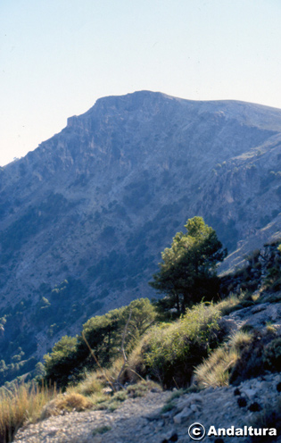 Empanada - El pico más alto del Parque Natural Sierra de Castril y del Parque Natural Sierra de Cazorla, Segura y Las Villas