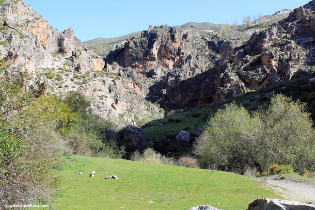 Espacio Natural Sierra Nevada Granada - Ruta de Senderismo por los Cahorros de Monachil