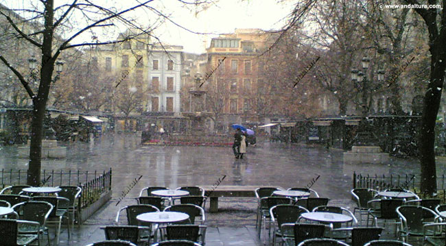 Nevando en el centro de Granada - Plaza Bib-Rambla - Callejero gratuito de Granada de Andaltura