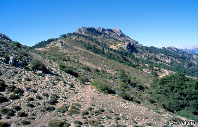 Ruta de Senderismo hacia el Cerro de los Tejos en la Sierra de Castril