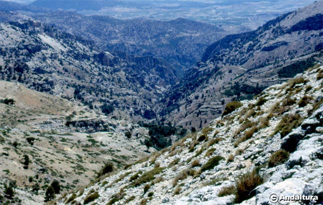 Valle del río Castril desde la zona alta del Barranco de la Magdalena - Parque Natural Sierra de Castril