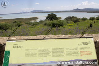 Mirador de Latas en la Reserva Natural de la Laguna de Fuente de Piedra