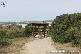 Observatorio de los Abejarucos, en las proximidades del Centro de Visitantes, en la Reserva Natural de la Laguna de Fuente de Piedra