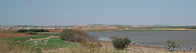 Laguna Ducle y localidad de Campillos - Ruta Ornitológica y de Senderismo por Málaga - Lagunas de Campillos