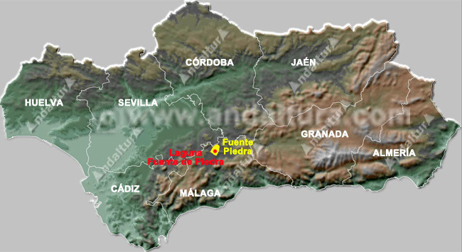 Mapa de Andalucía con la situación de la localidad de Fuente de Piedra y la Reserva Natural Laguna de Fuente de Piedra
