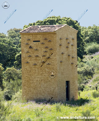 Observatorio de aves de acceso restringido junto al Mirador de las Latas - Laguna de Fuente de Piedra