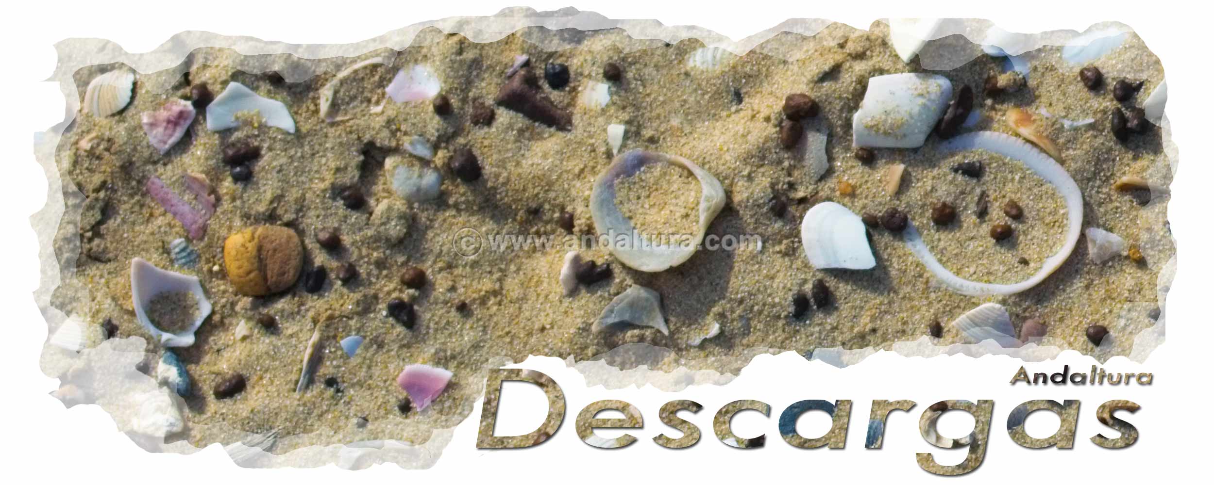 Conchas playa - Cabecera de la zona de descargas de archivos gratis de Andaltura