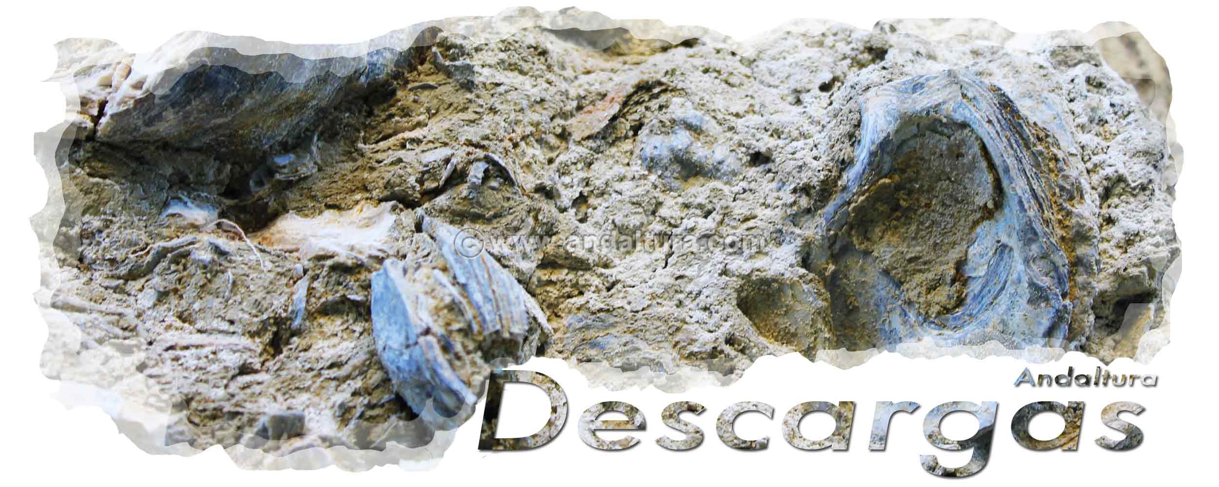 Fósiles en el Barranco de la Luna - Cabecera zona Descargas de Andaltura