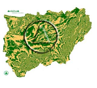 Mapa de Córdoba: Sublime Realidad Andaltura - Mapa de Córdoba de la colección Sublime realidad de Andaltura