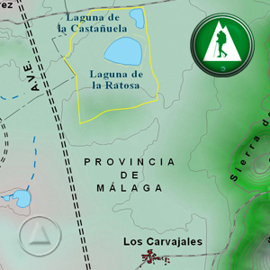 Accesos - como llegar - a Los Carvajales y la Laguna de la Ratosa: Recorte Mapa Cartográfico