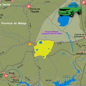 Accesos - como llegar - a Campillos: Recorte Mapa Cartográfico