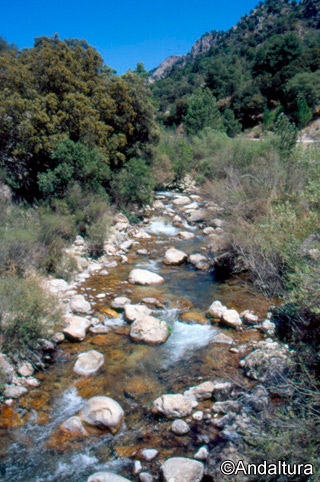 Río Castril desde el puente de Lézar