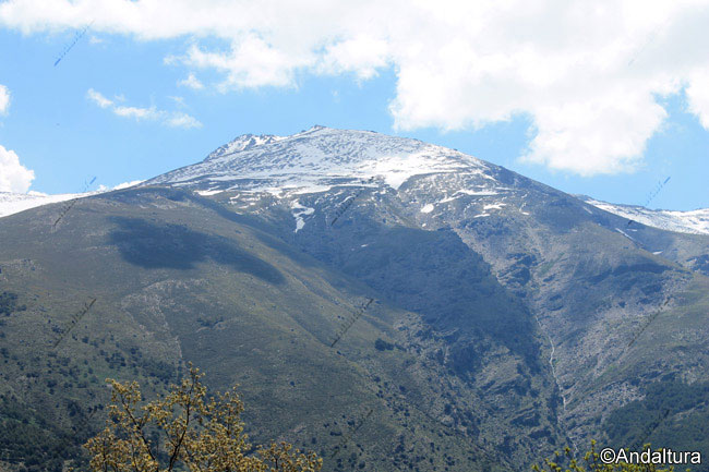 Cerro del Mojón Alto y Tajo de Piedra Bermeja