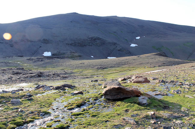 Nacimientos en la cuenca glaciar de Juntillas, al fondo Cerro Pelado